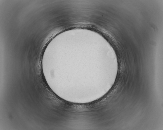 X0000112541362200909281050