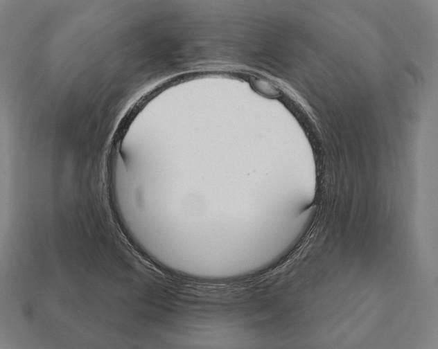 X0000112541364200909281050