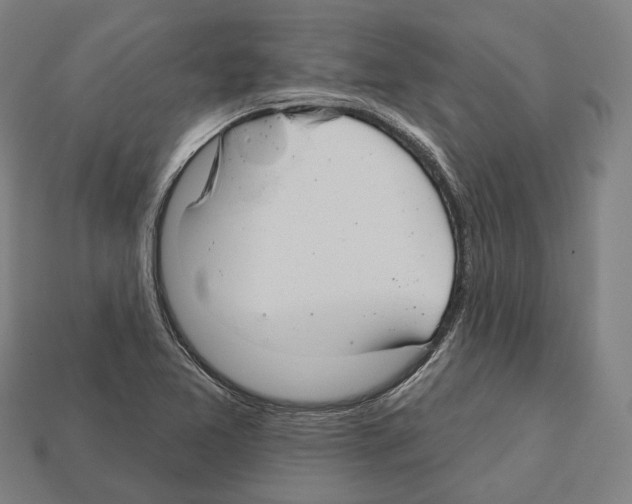 X0000112541365200909281050