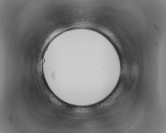 X0000112541366200909281050