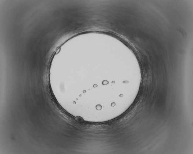 X0000112541367200909281050