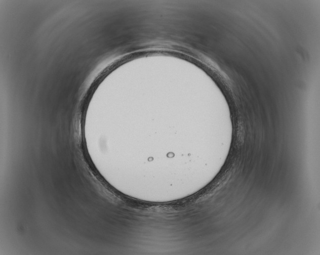 X0000112541368200909281050