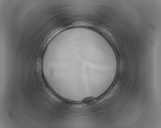 X0000112541369200909281050