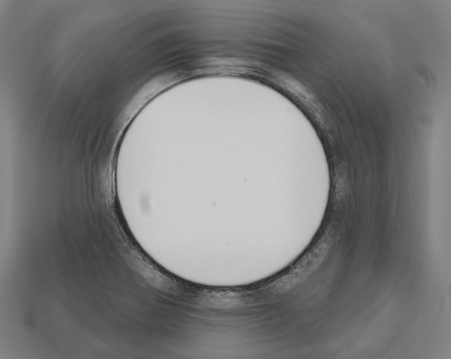 X0000112541370200909281050