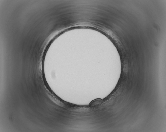X0000112541372200909281050