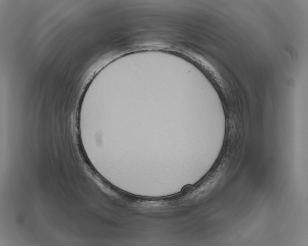 X0000112541373200909281050