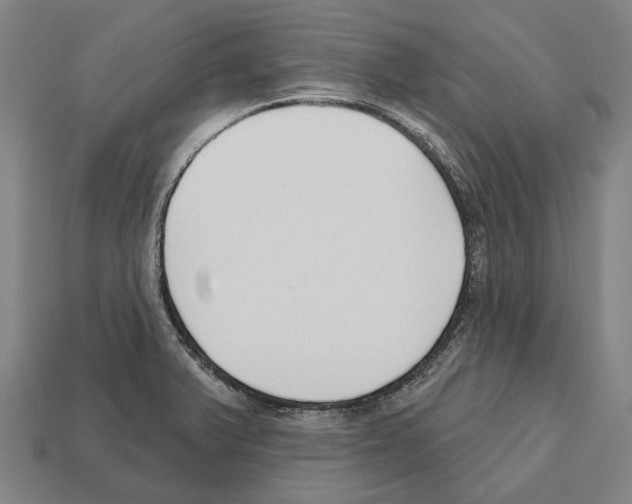 X0000112541375200909281050