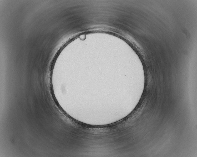 X0000112541376200909281050