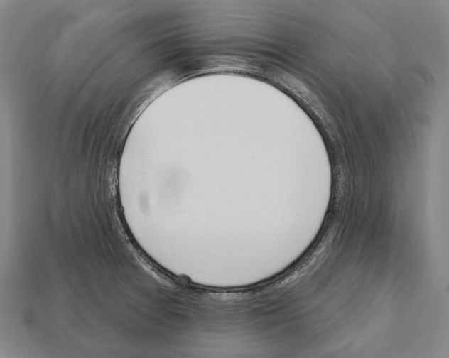 X0000112541377200909281050