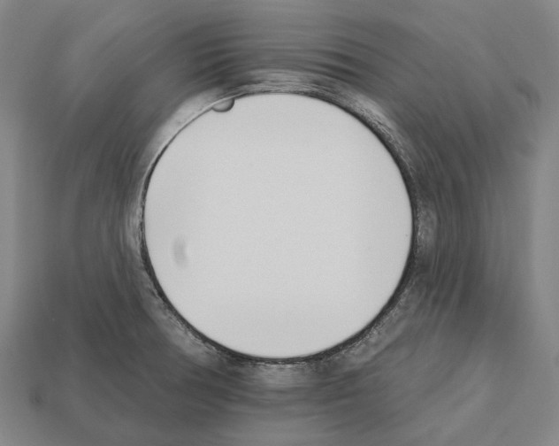 X0000112541378200909281050