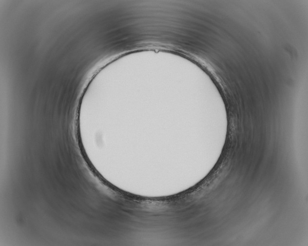 X0000112541379200909281050