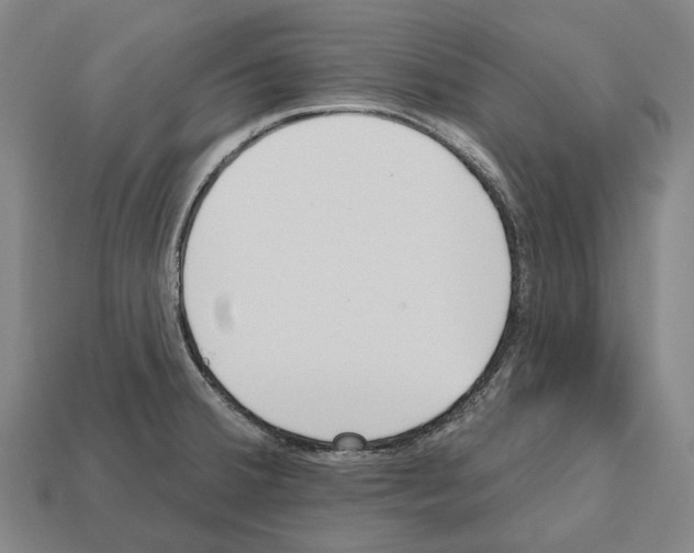X0000112541380200909281050