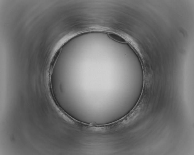 X0000112541381200909281050