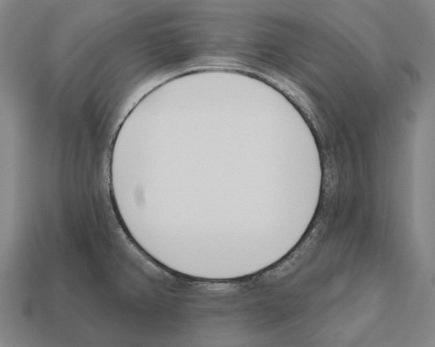 X0000112541382200909281050