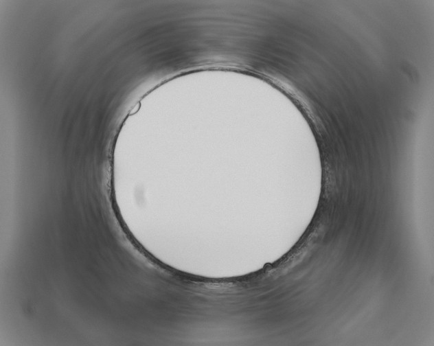 X0000112541383200909281050