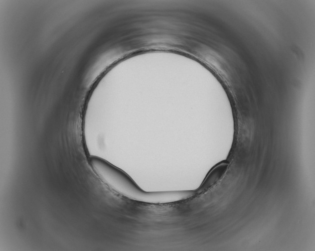 X0000112541384200909281050