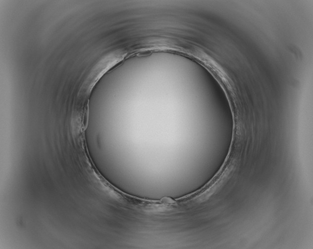 X0000112541385200909281050