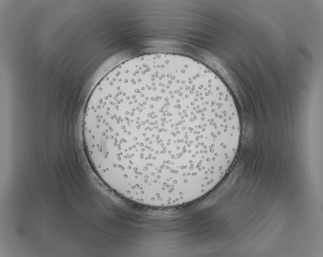 X0000112541386200909281050