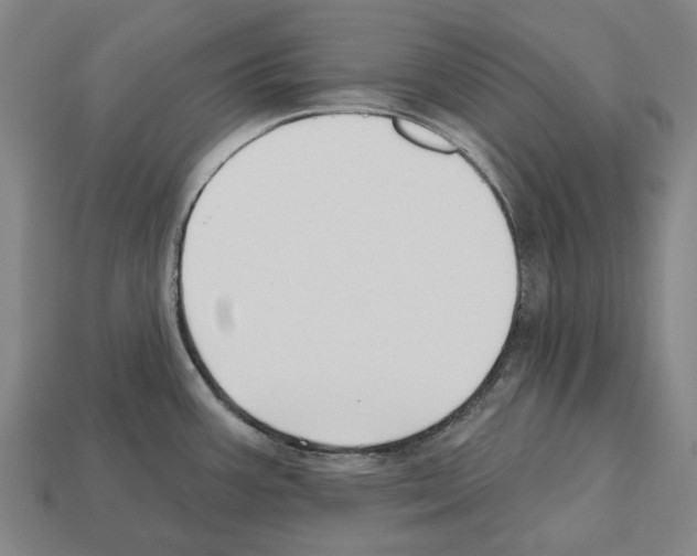 X0000112541387200909281050