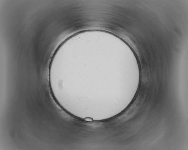 X0000112541388200909281050