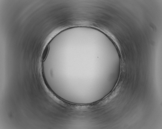 X0000112541389200909281050