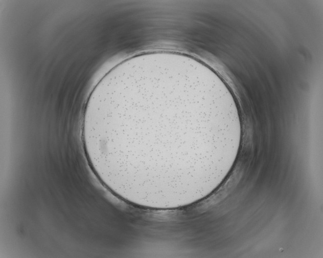 X0000112541390200909281050