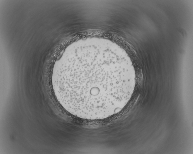 X0000112541393200909281049