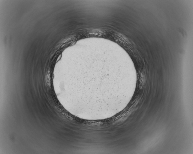 X0000112541394200909281049