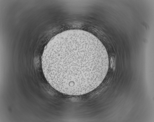 X0000112541395200909281049