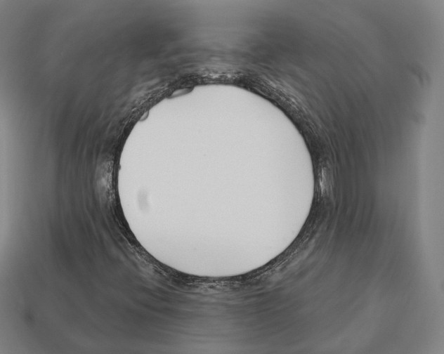 X0000112541396200909281049