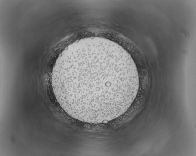 X0000112541397200909281049