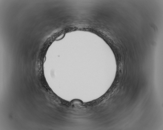 X0000112541398200909281049