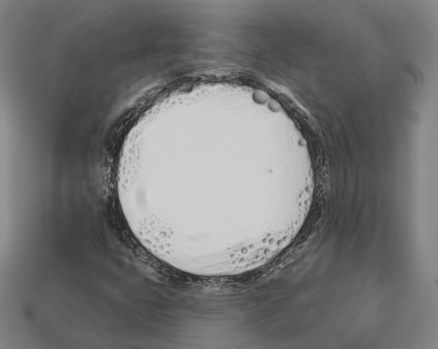 X0000112541399200909281049