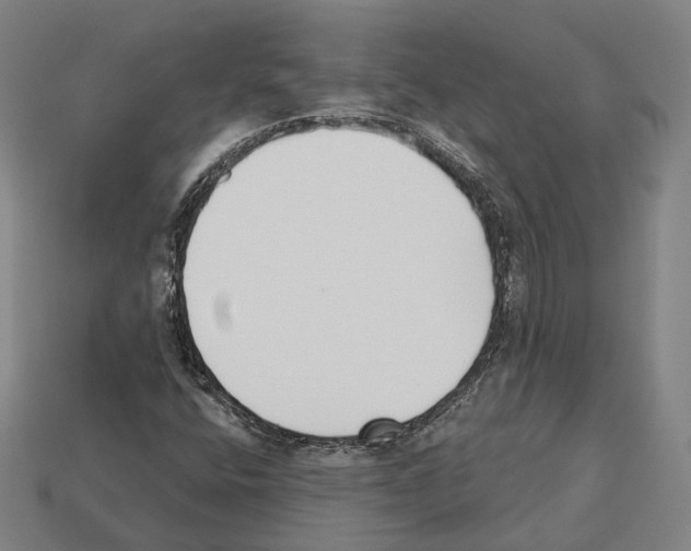 X0000112541400200909281049
