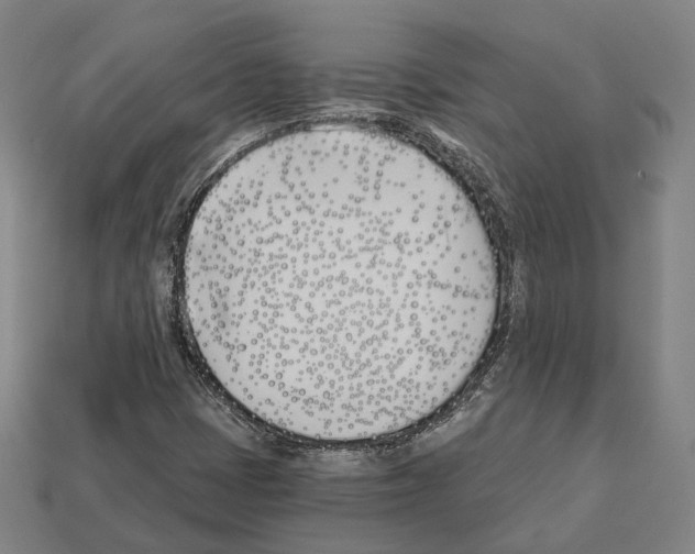 X0000112541401200909281049