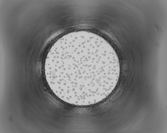 X0000112541402200909281049