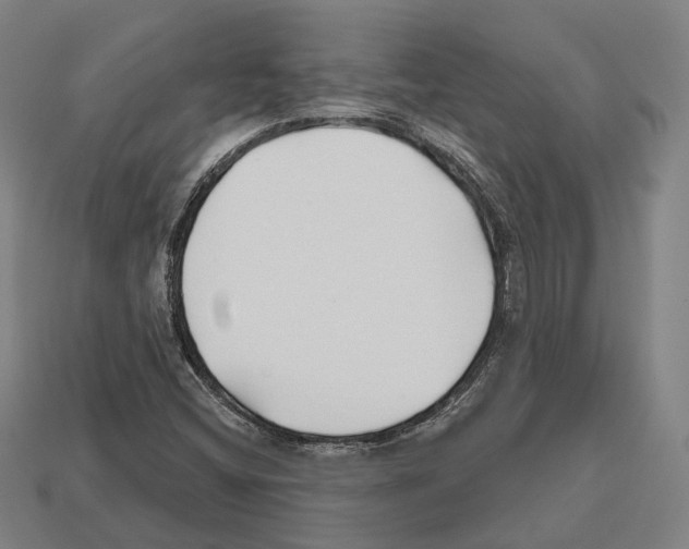 X0000112541404200909281049