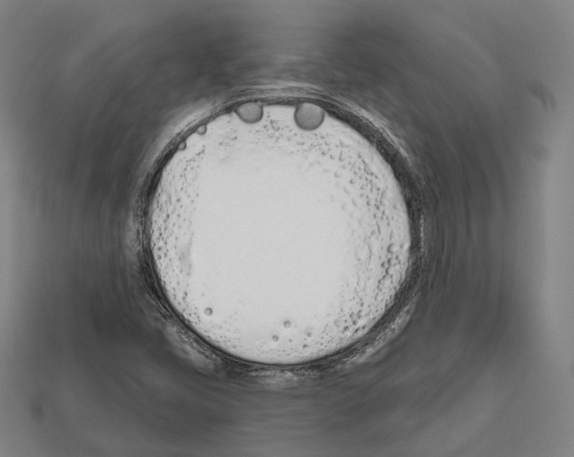 X0000112541405200909281049