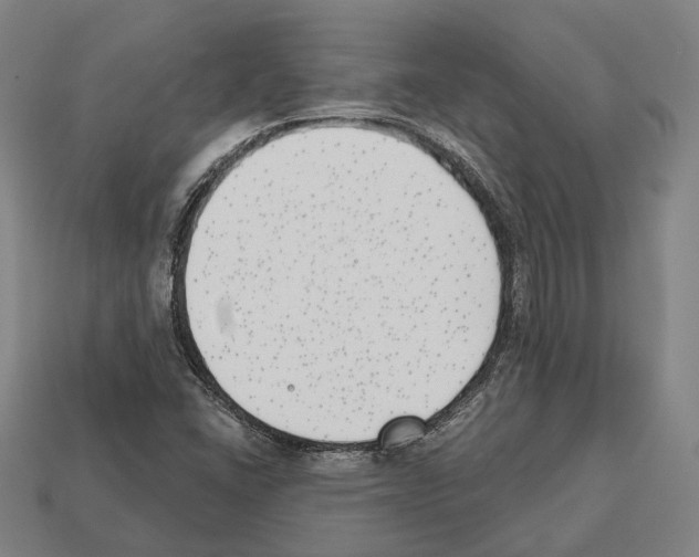 X0000112541406200909281049