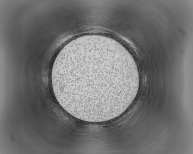 X0000112541407200909281049