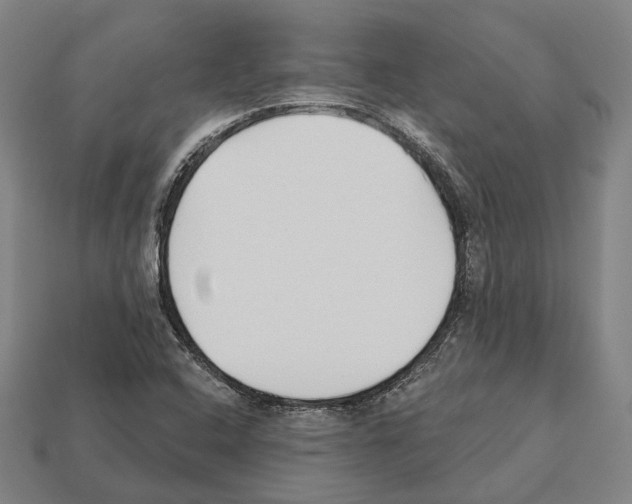 X0000112541408200909281049