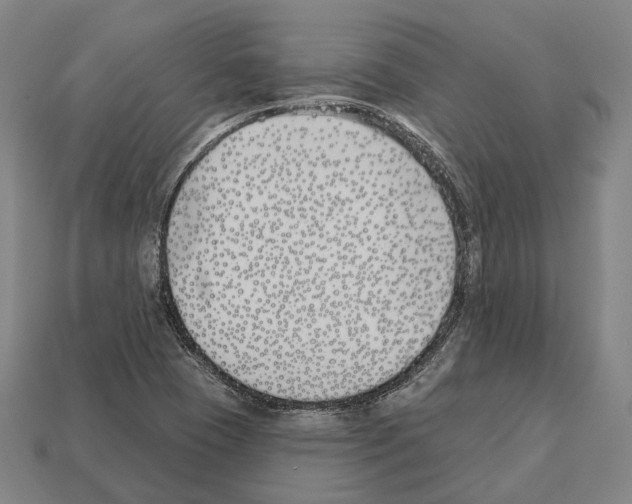 X0000112541409200909281050