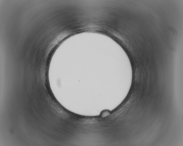 X0000112541410200909281050