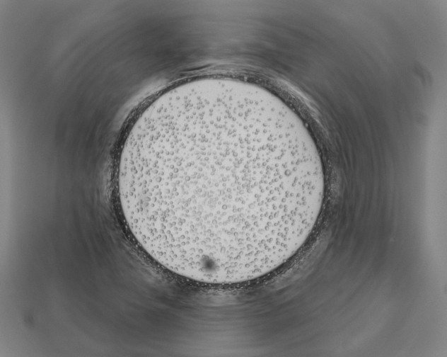 X0000112541411200909281050