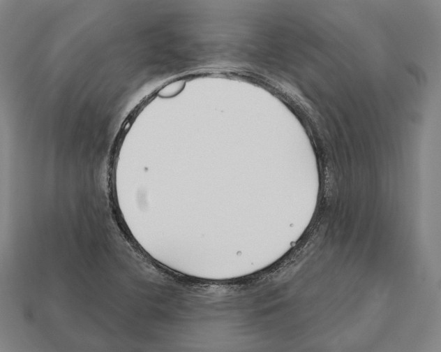 X0000112541412200909281050