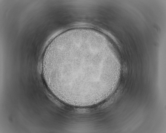 X0000112541413200909281050
