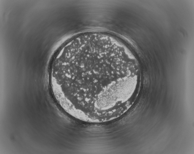 X0000112541414200909281050