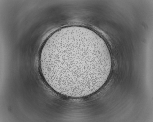 X0000112541415200909281050