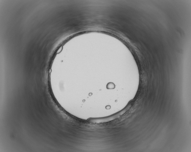 X0000112541416200909281050