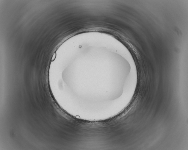 X0000112541417200909281050